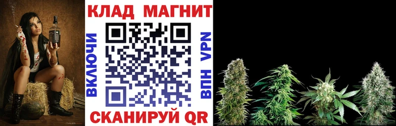 Псилоцибиновые грибы Вольск