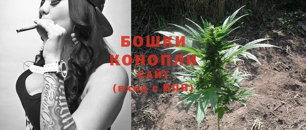 молекула духа Снежинск