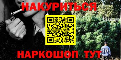 гидра Бийск