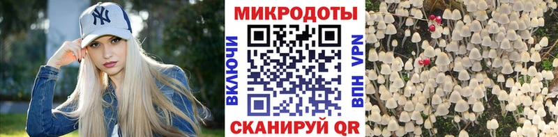 Псилоцибиновые грибы прущие грибы  Вольск 
