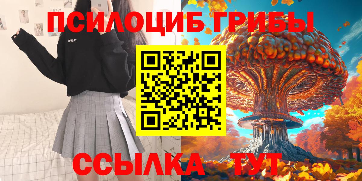 Вольск  Галлюциногенные грибы Cubensis  Вход с VPN 