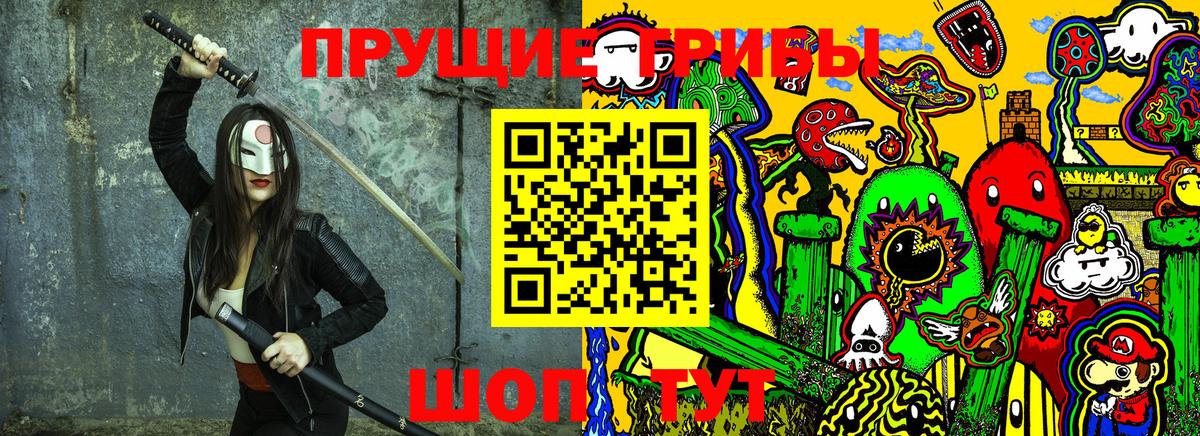 Псилоцибиновые грибы Psilocybe  Вольск 